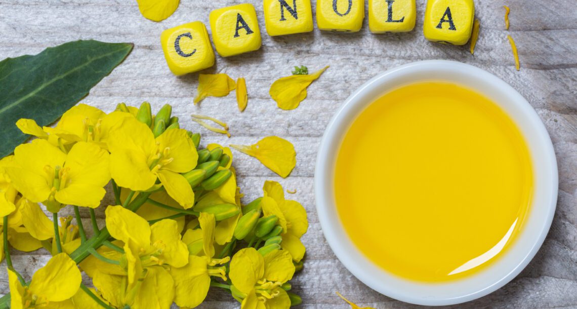 A Guide To Choosing The Healthy Cooking Oils- Canola Oil